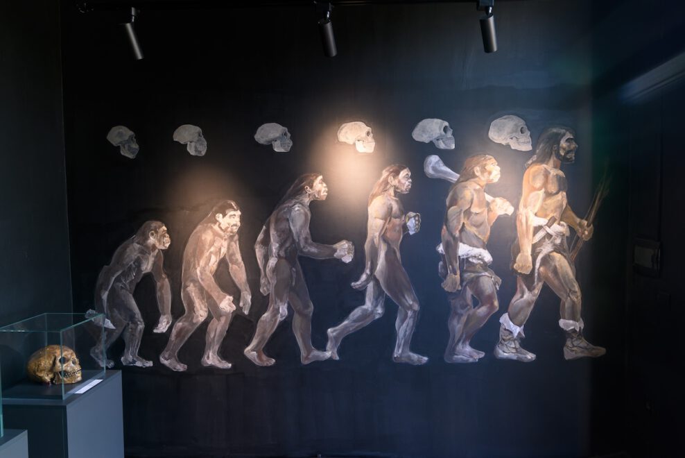 Muzeul_de_Arheologie_si_Antropologie_1