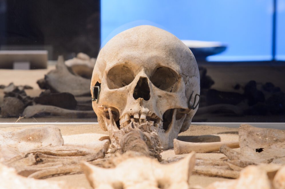 Muzeul_de_Arheologie_si_Antropologie_10