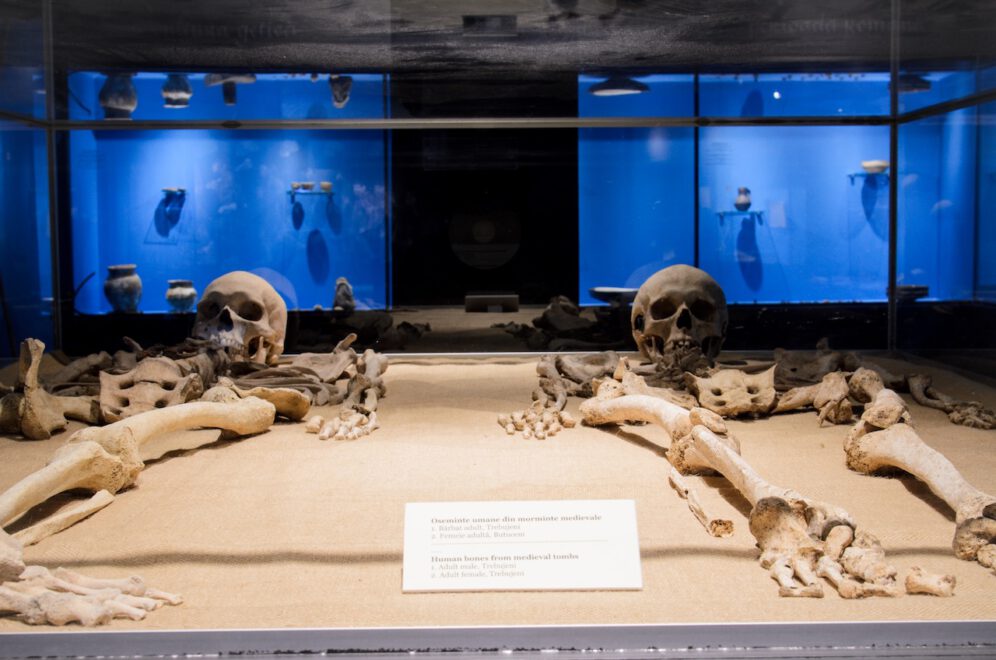 Muzeul_de_Arheologie_si_Antropologie_11