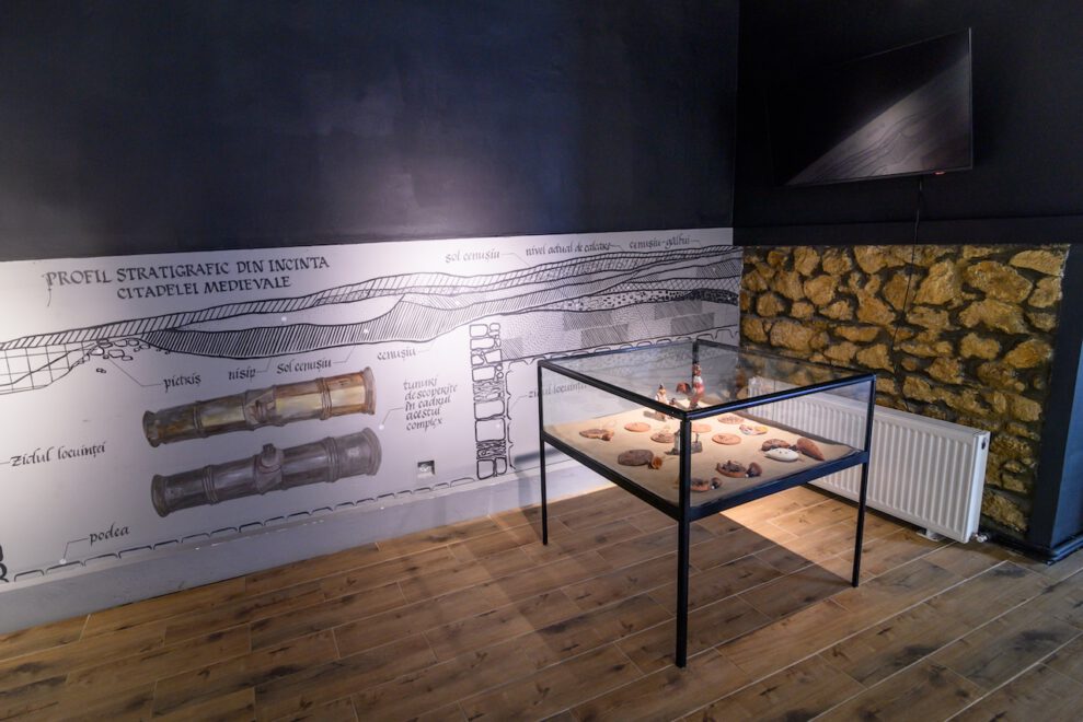 Muzeul_de_Arheologie_si_Antropologie_2