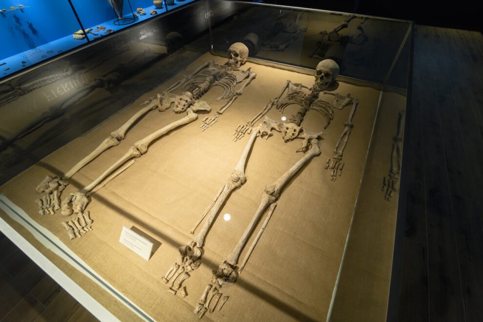 Muzeul_de_Arheologie_si_Antropologie_4