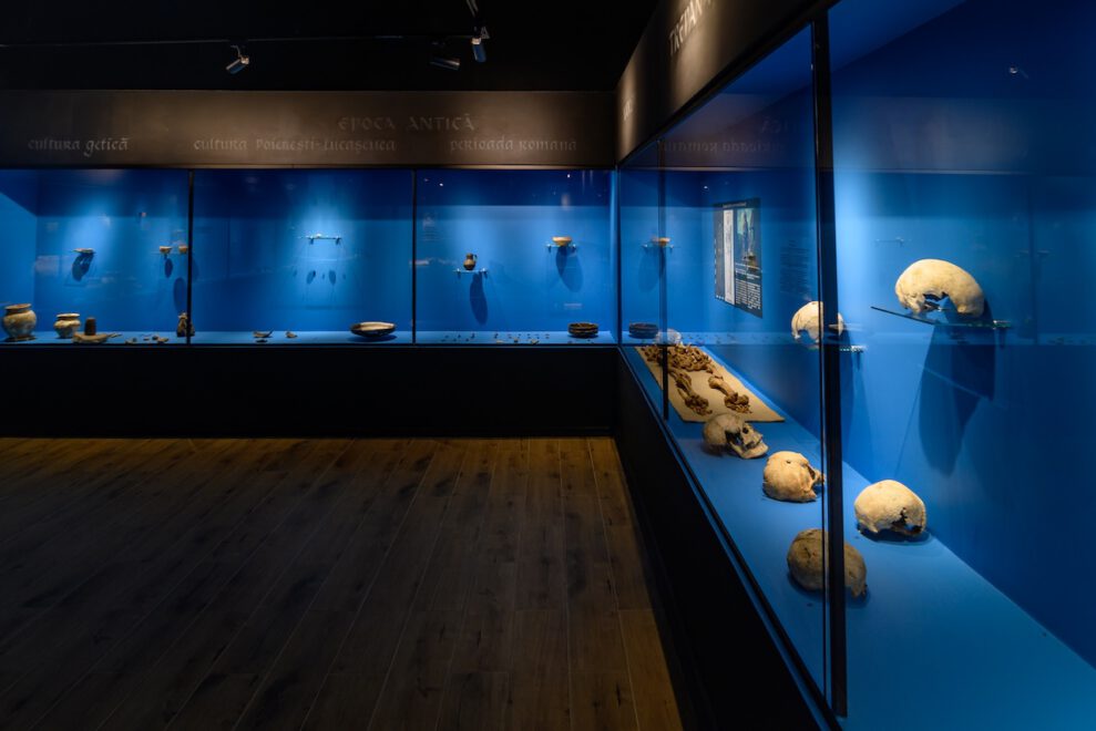 Muzeul_de_Arheologie_si_Antropologie_5