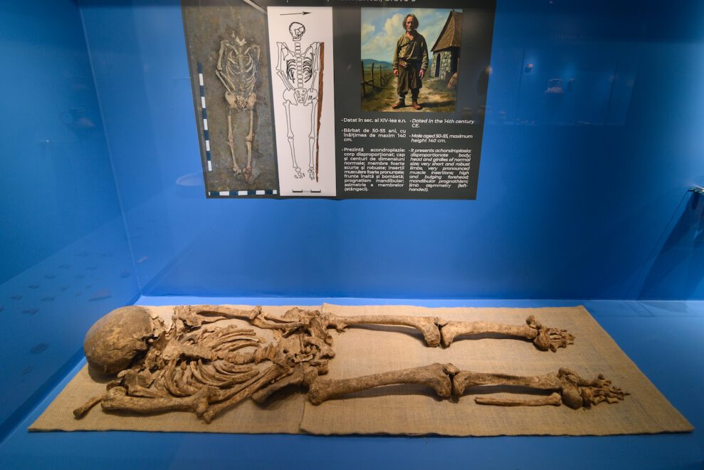 Muzeul_de_Arheologie_si_Antropologie_6