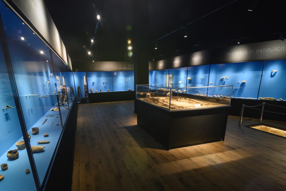 Muzeul_de_Arheologie_si_Antropologie_8