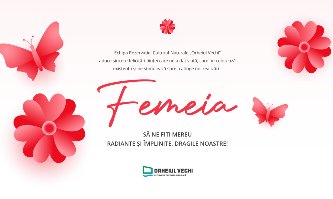 orheiul-vechi-news