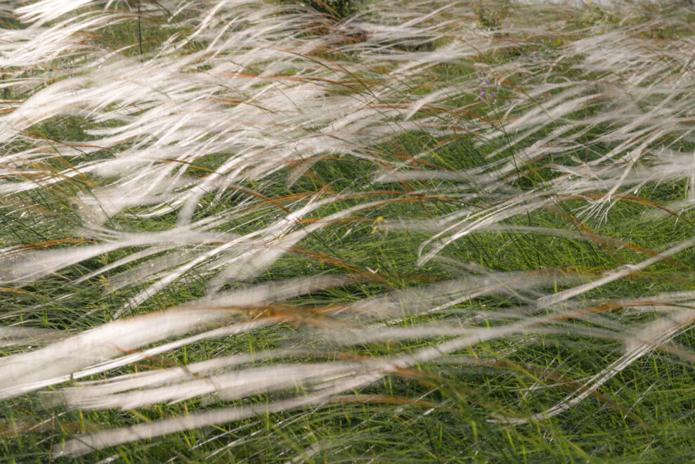 orheiul-vechi-news